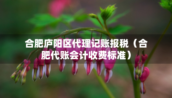 合肥廬陽區(qū)代理記賬報稅（合肥代賬會計收費標準）