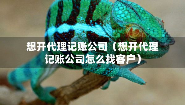 想開(kāi)代理記賬公司（想開(kāi)代理記賬公司怎么找客戶）