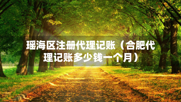瑤海區(qū)注冊代理記賬（合肥代理記賬多少錢一個月）