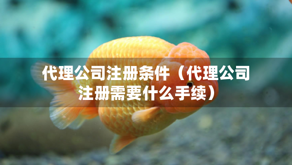 代理公司注冊條件（代理公司注冊需要什么手續(xù)）