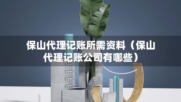 保山代理記賬所需資料（保山代理記賬公司有哪些）