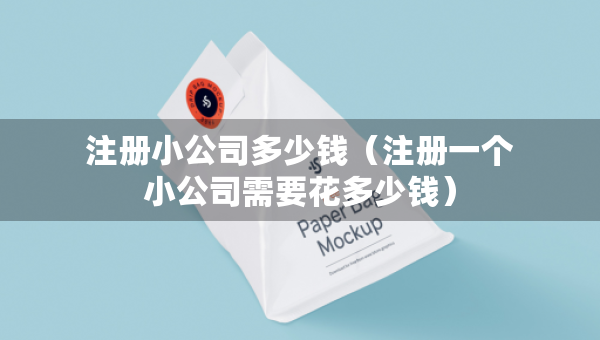 注冊(cè)小公司多少錢（注冊(cè)一個(gè)小公司需要花多少錢）