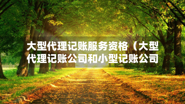 大型代理記賬服務(wù)資格（大型代理記賬公司和小型記賬公司哪個(gè)值得去）