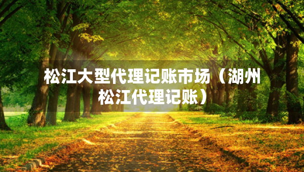 松江大型代理記賬市場（湖州松江代理記賬）