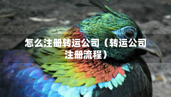 怎么注冊轉(zhuǎn)運公司（轉(zhuǎn)運公司注冊流程）