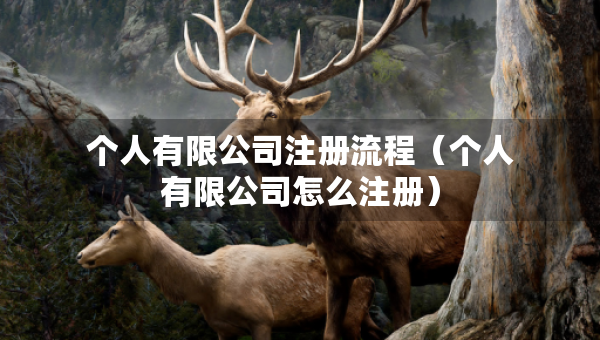 個人有限公司注冊流程（個人有限公司怎么注冊）