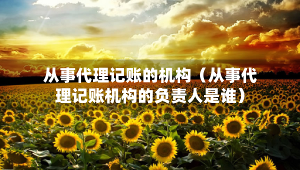 從事代理記賬的機(jī)構(gòu)（從事代理記賬機(jī)構(gòu)的負(fù)責(zé)人是誰）