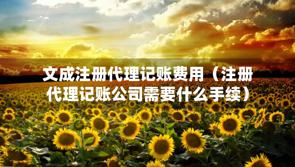 文成注冊代理記賬費(fèi)用（注冊代理記賬公司需要什么手續(xù)）