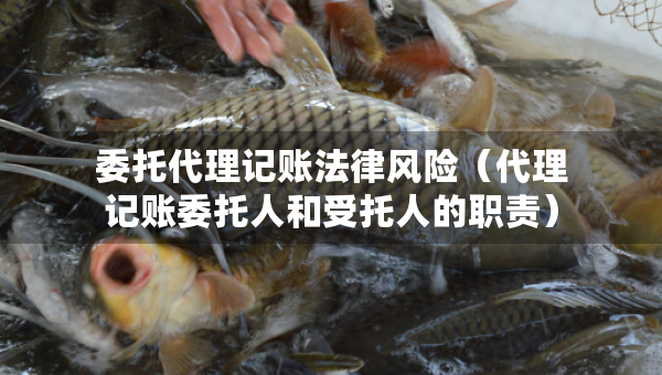 委托代理記賬法律風(fēng)險(xiǎn)（代理記賬委托人和受托人的職責(zé)）