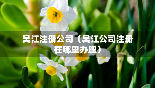 吳江注冊(cè)公司（吳江公司注冊(cè)在哪里辦理）