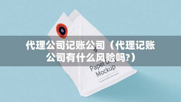 代理公司記賬公司（代理記賬公司有什么風(fēng)險嗎?）