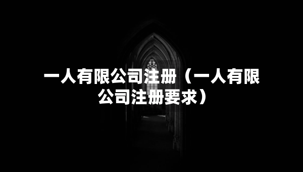 一人有限公司注冊（一人有限公司注冊要求）