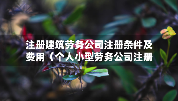 注冊(cè)建筑勞務(wù)公司注冊(cè)條件及費(fèi)用（個(gè)人小型勞務(wù)公司注冊(cè)條件）