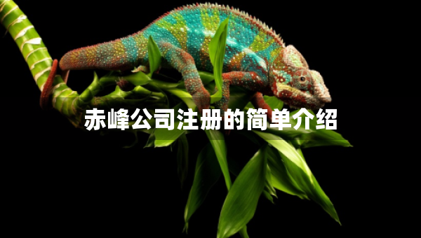 赤峰公司注冊的簡單介紹