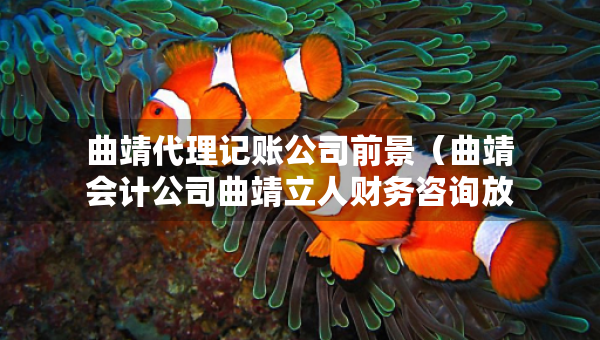 曲靖代理記賬公司前景（曲靖會計(jì)公司曲靖立人財(cái)務(wù)咨詢放心）