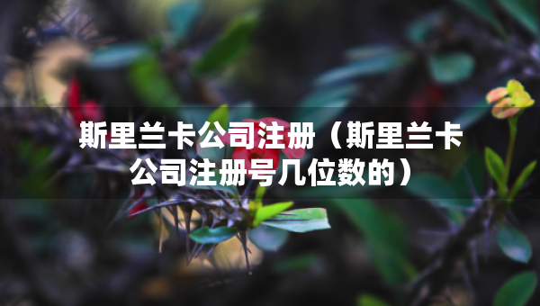 斯里蘭卡公司注冊（斯里蘭卡公司注冊號(hào)幾位數(shù)的）