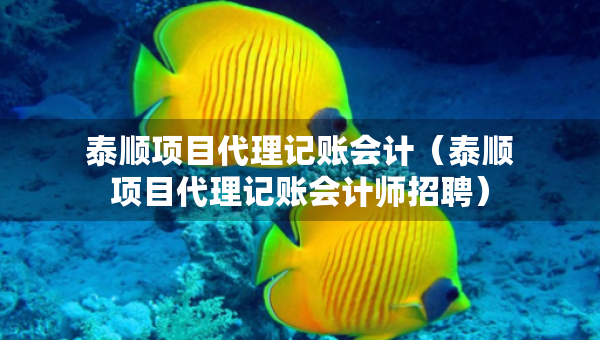 泰順項目代理記賬會計（泰順項目代理記賬會計師招聘）