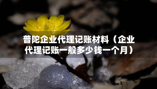 普陀企業(yè)代理記賬材料（企業(yè)代理記賬一般多少錢一個(gè)月）