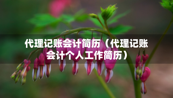 代理記賬會(huì)計(jì)簡歷（代理記賬會(huì)計(jì)個(gè)人工作簡歷）