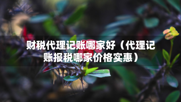 財(cái)稅代理記賬哪家好（代理記賬報(bào)稅哪家價(jià)格實(shí)惠）