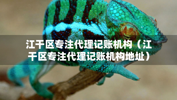 江干區(qū)專(zhuān)注代理記賬機(jī)構(gòu)（江干區(qū)專(zhuān)注代理記賬機(jī)構(gòu)地址）