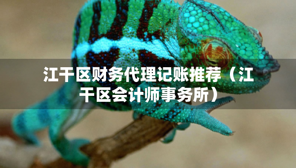 江干區(qū)財務(wù)代理記賬推薦（江干區(qū)會計師事務(wù)所）