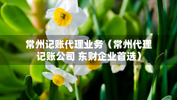 常州記賬代理業(yè)務(wù)（常州代理記賬公司 東財企業(yè)首選）