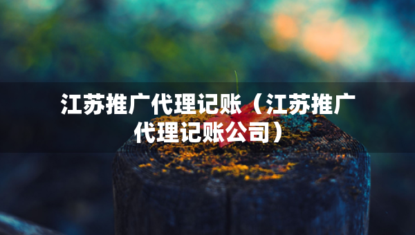 江蘇推廣代理記賬（江蘇推廣代理記賬公司）