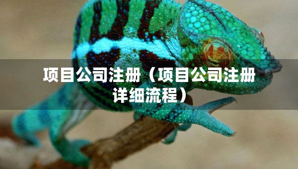 項目公司注冊（項目公司注冊詳細流程）