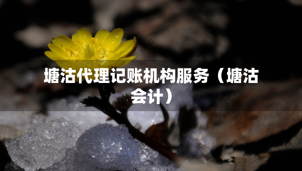 塘沽代理記賬機(jī)構(gòu)服務(wù)（塘沽?xí)?jì)）