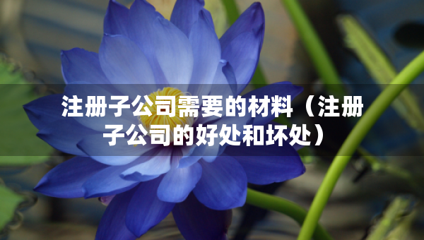 注冊(cè)子公司需要的材料（注冊(cè)子公司的好處和壞處）