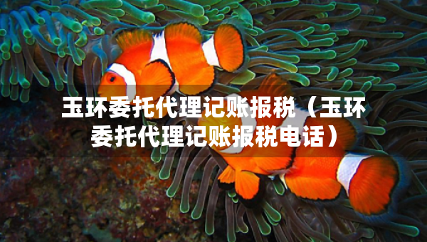 玉環(huán)委托代理記賬報稅（玉環(huán)委托代理記賬報稅電話）