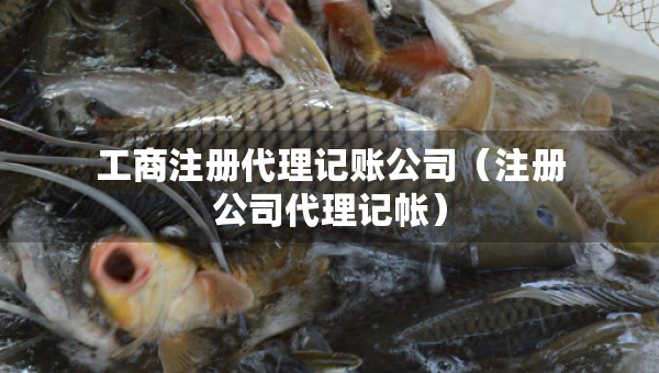 工商注冊(cè)代理記賬公司（注冊(cè)公司代理記帳）