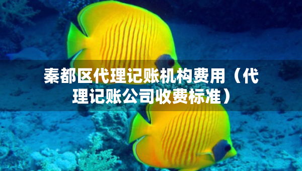 秦都區(qū)代理記賬機(jī)構(gòu)費用（代理記賬公司收費標(biāo)準(zhǔn)）