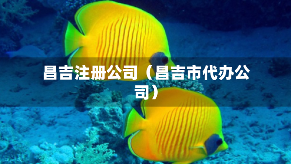 昌吉注冊(cè)公司（昌吉市代辦公司）