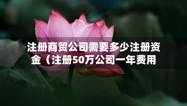 注冊(cè)商貿(mào)公司需要多少注冊(cè)資金（注冊(cè)50萬公司一年費(fèi)用）