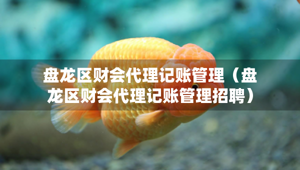 盤龍區(qū)財(cái)會(huì)代理記賬管理（盤龍區(qū)財(cái)會(huì)代理記賬管理招聘）
