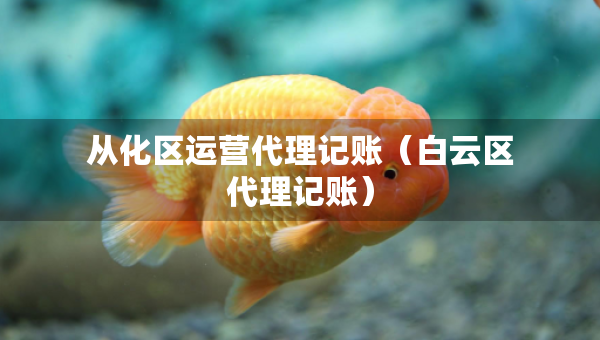 從化區(qū)運營代理記賬（白云區(qū)代理記賬）
