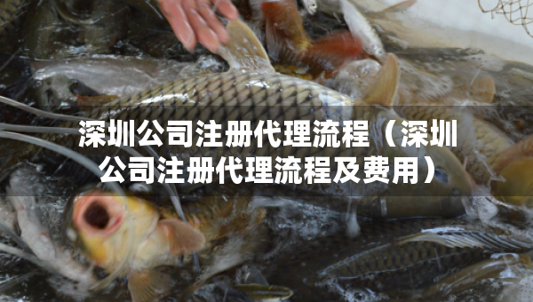 深圳公司注冊(cè)代理流程（深圳公司注冊(cè)代理流程及費(fèi)用）