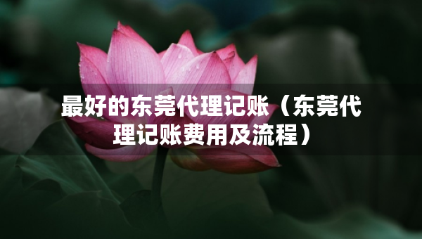 最好的東莞代理記賬（東莞代理記賬費用及流程）