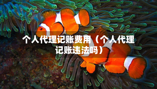 個(gè)人代理記賬費(fèi)用（個(gè)人代理記賬違法嗎）