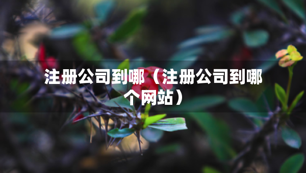 注冊(cè)公司到哪（注冊(cè)公司到哪個(gè)網(wǎng)站）