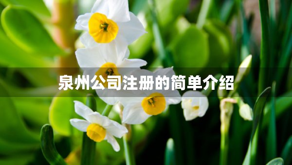 泉州公司注冊(cè)的簡單介紹