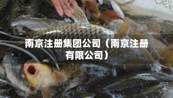 南京注冊集團(tuán)公司（南京注冊有限公司）