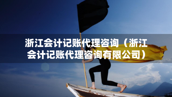 浙江會(huì)計(jì)記賬代理咨詢（浙江會(huì)計(jì)記賬代理咨詢有限公司）