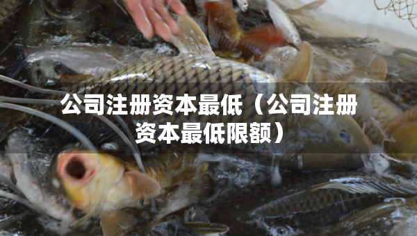 公司注冊資本最低（公司注冊資本最低限額）