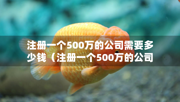 注冊一個500萬的公司需要多少錢（注冊一個500萬的公司需要多少錢費用）