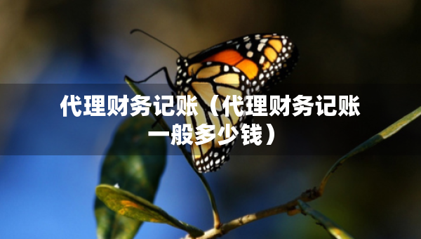 代理財務(wù)記賬（代理財務(wù)記賬一般多少錢）