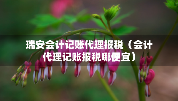 瑞安會(huì)計(jì)記賬代理報(bào)稅（會(huì)計(jì)代理記賬報(bào)稅哪便宜）
