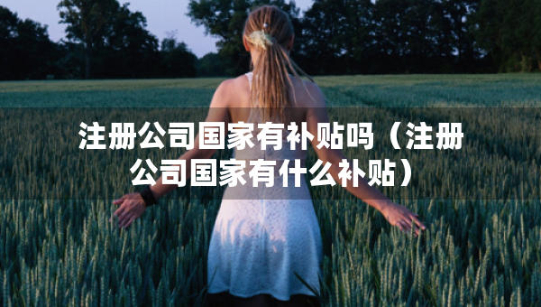 注冊(cè)公司國(guó)家有補(bǔ)貼嗎（注冊(cè)公司國(guó)家有什么補(bǔ)貼）
